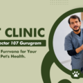 Pet Clinic Near Sector 107 Gurugram: Trust Furrvana for Your Pet’s Health