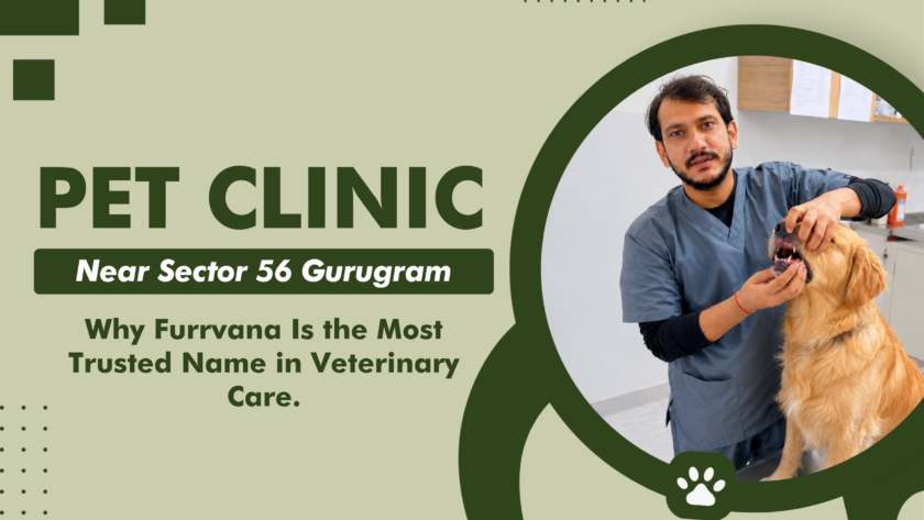 pet-clinic-near-sector-56-gurugram
