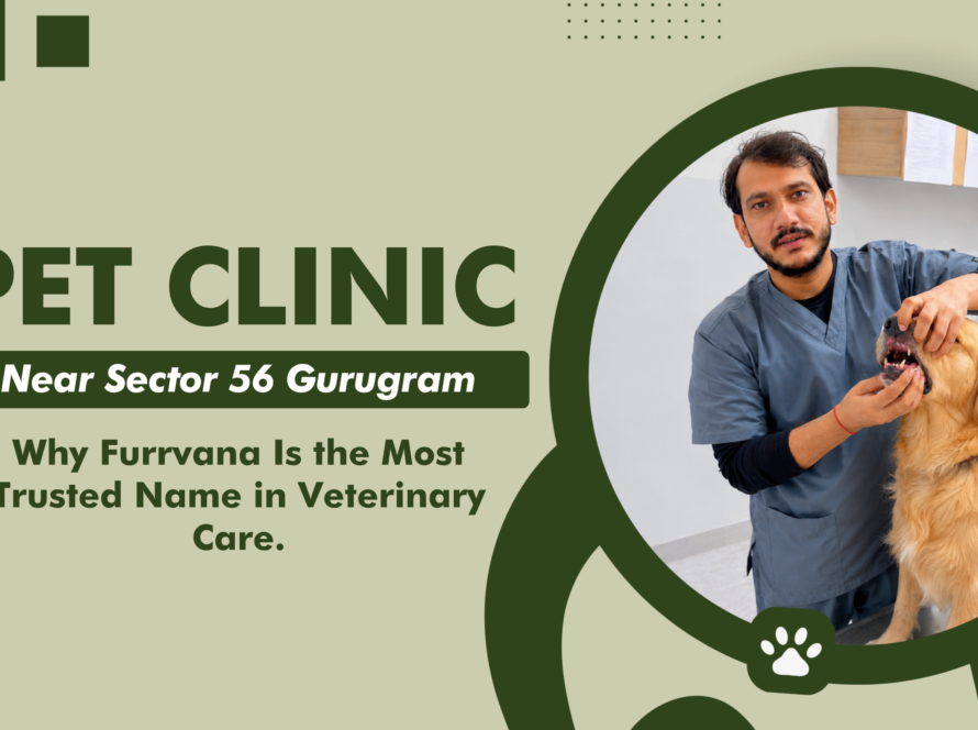 pet-clinic-near-sector-56-gurugram