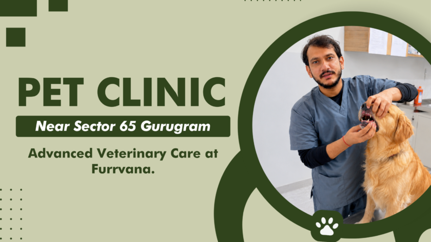 pet-clinic-near-sector-65-gurugram