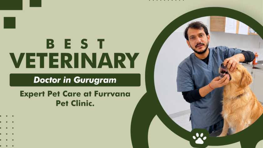 best-veterinary-doctor-in-gurugram