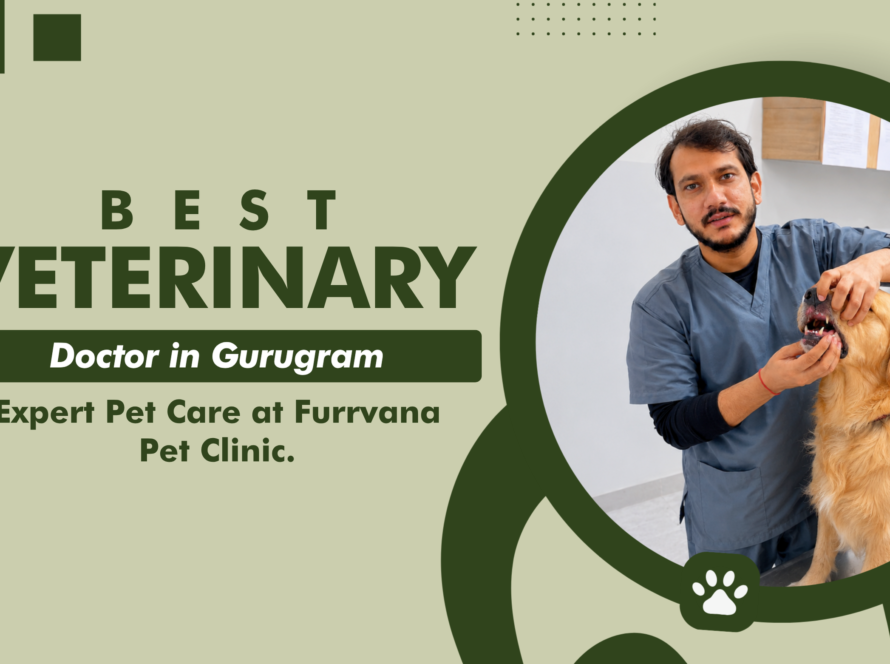 best-veterinary-doctor-in-gurugram