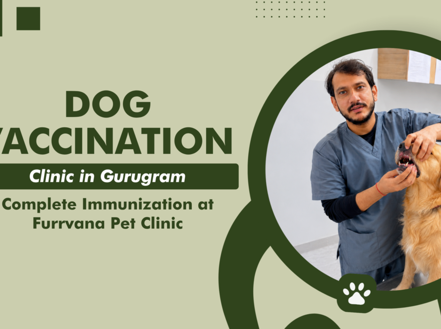 dog-vaccination-clinic-gurugram