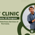 Pet Clinic Near Sector 82 Gurugram: Trusted Veterinary Services at Furrvana