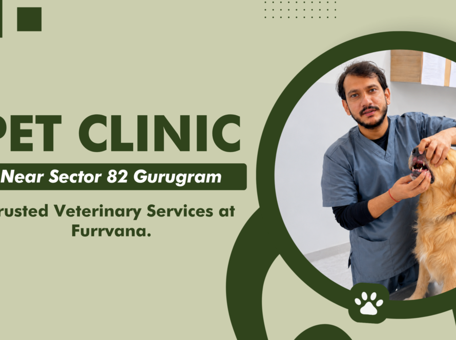 pet-clinic-near-sector-82-gurugram