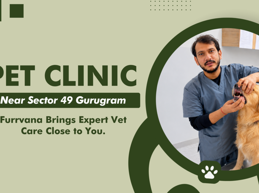 pet-clinic-near-sector-49-gurugram
